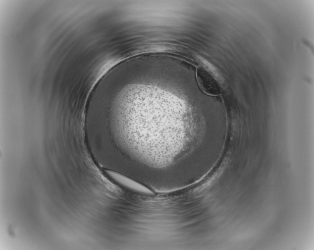 X0000096471178200802071850