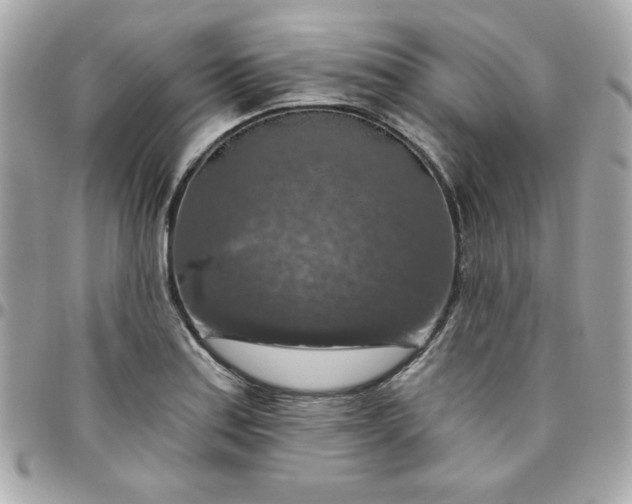 X0000096471179200802071850