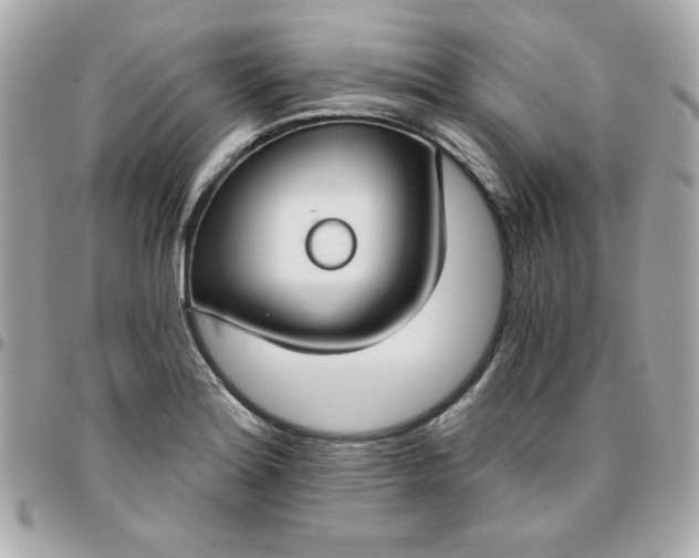 X0000096471180200802071850