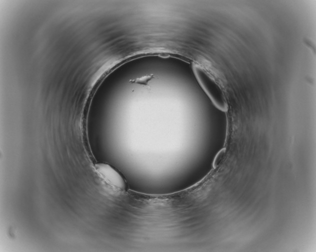 X0000096471181200802071850