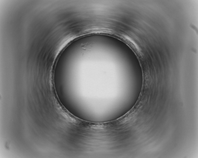 X0000096471182200802071850