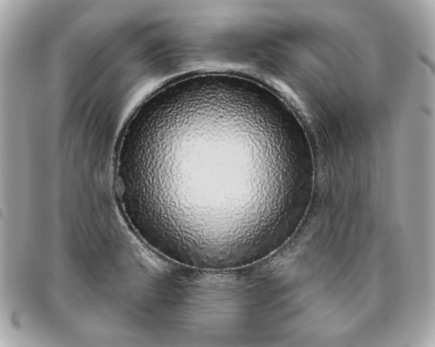 X0000096471183200802071850