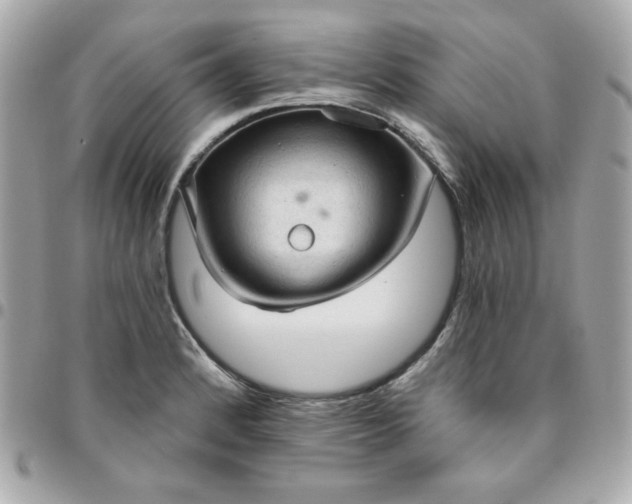 X0000096471184200802071850