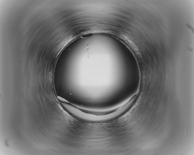 X0000096471185200802071850