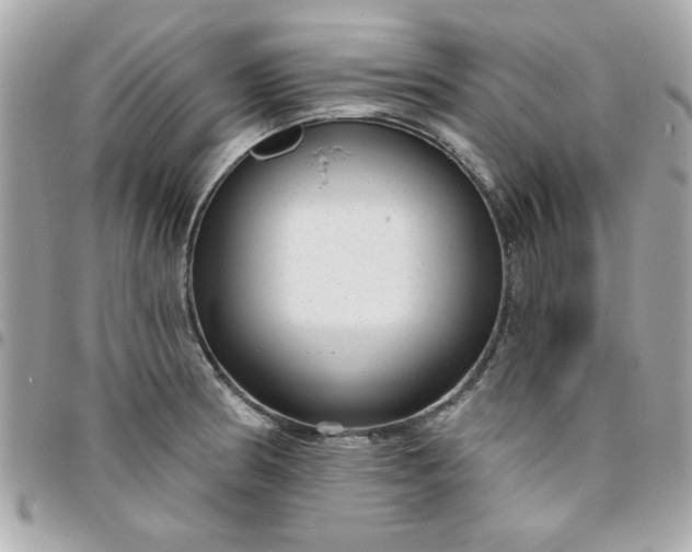 X0000096471186200802071850