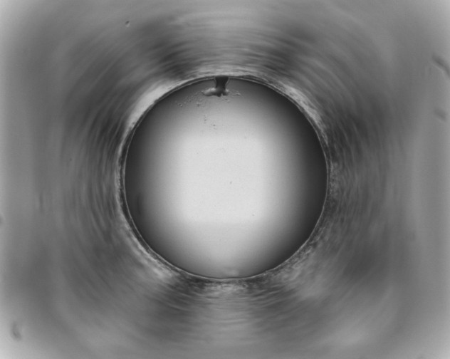 X0000096471187200802071850