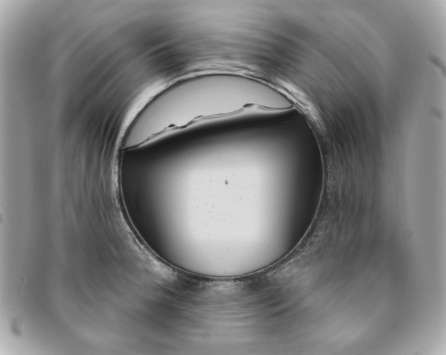 X0000096471188200802071850