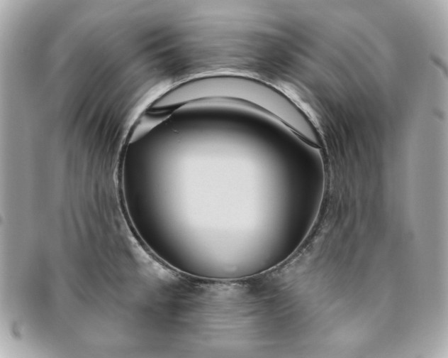 X0000096471189200802071850