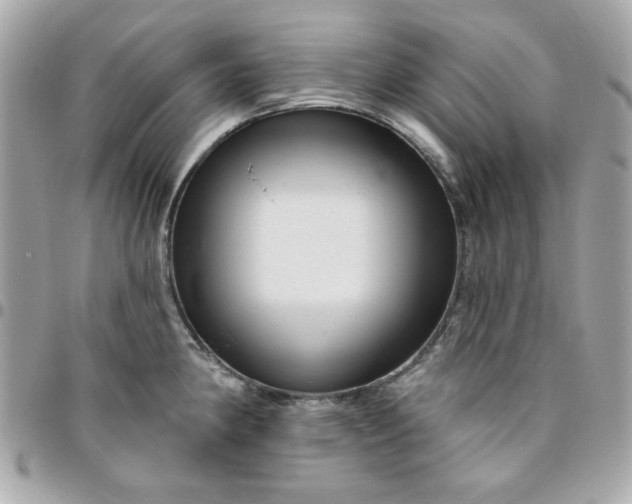 X0000096471190200802071850