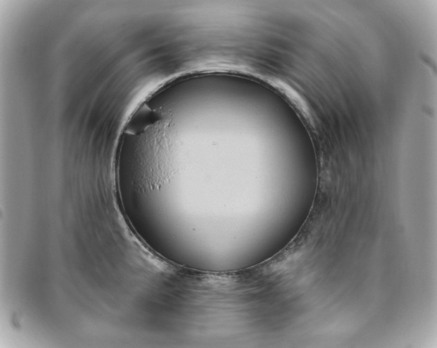 X0000096471191200802071850