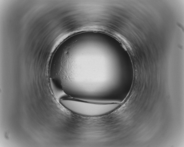 X0000096471192200802071850