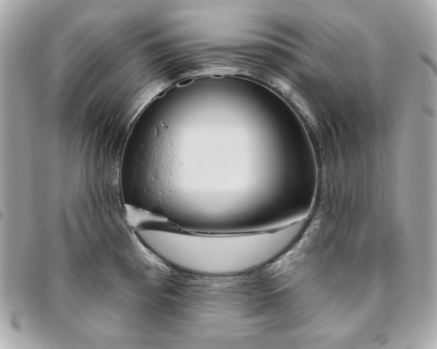 X0000096471193200802071850