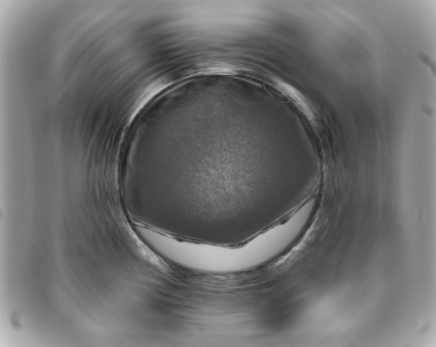 X0000096471194200802071850