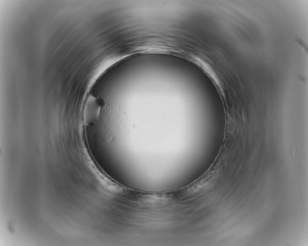 X0000096471195200802071850