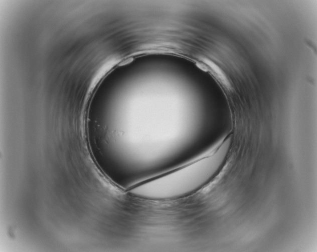 X0000096471196200802071849