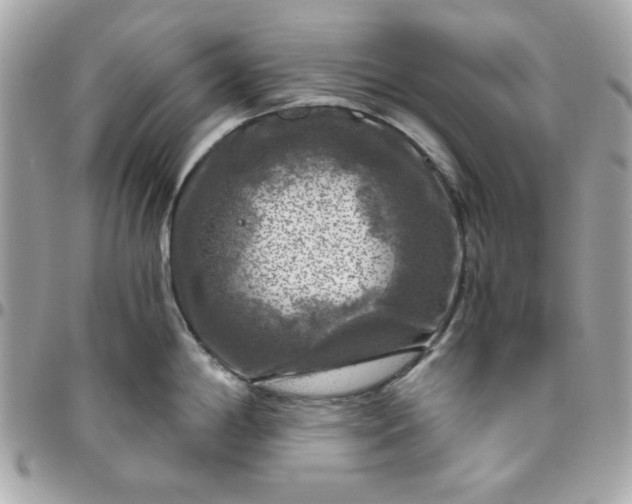 X0000096471198200802071849