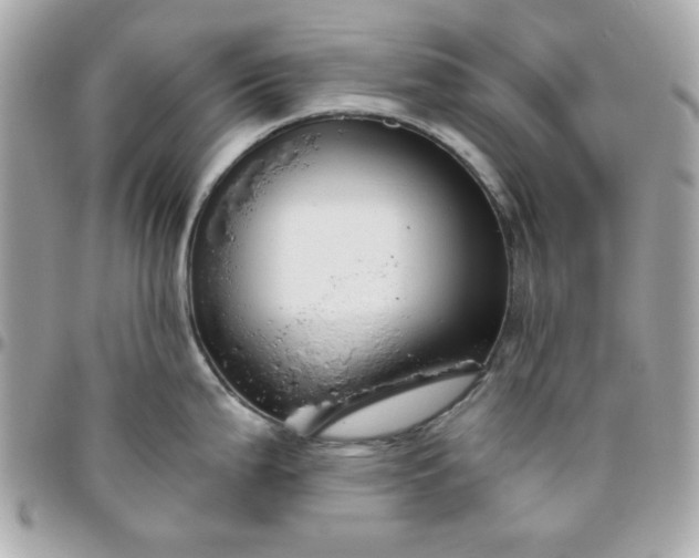 X0000096471199200802071849