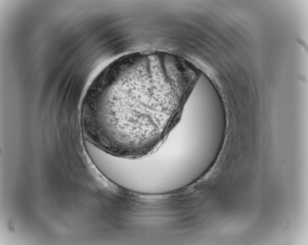 X0000096471200200802071849