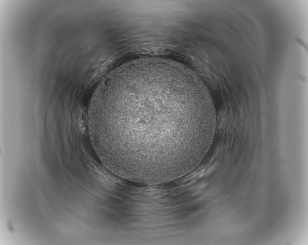 X0000096471202200802071849