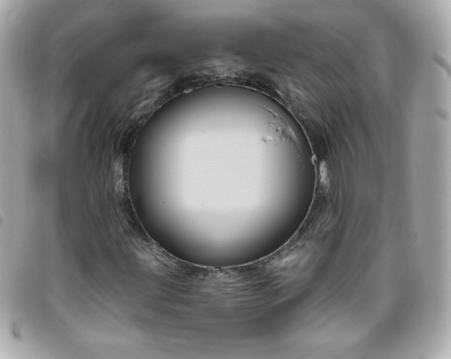 X0000096471203200802071849