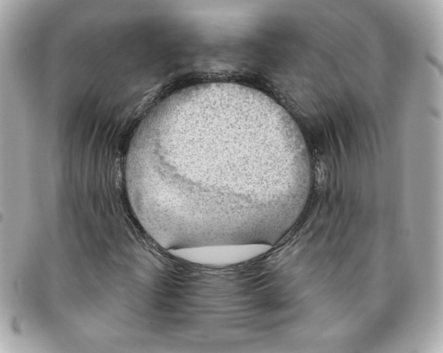 X0000096471204200802071849