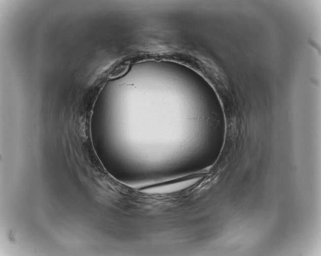 X0000096471205200802071849