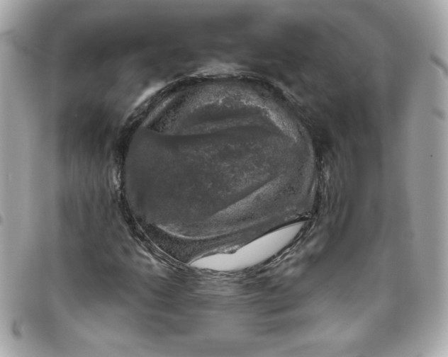 X0000096471206200802071849