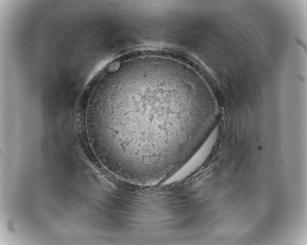 X0000096471208200802071849