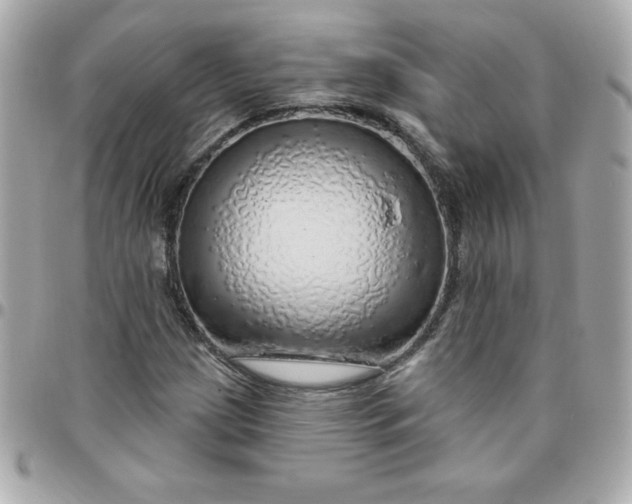 X0000096471209200802071849