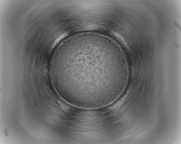 X0000096471210200802071849