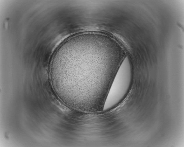 X0000096471212200802071849