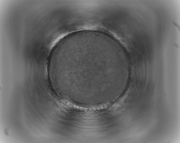 X0000096471214200802071849