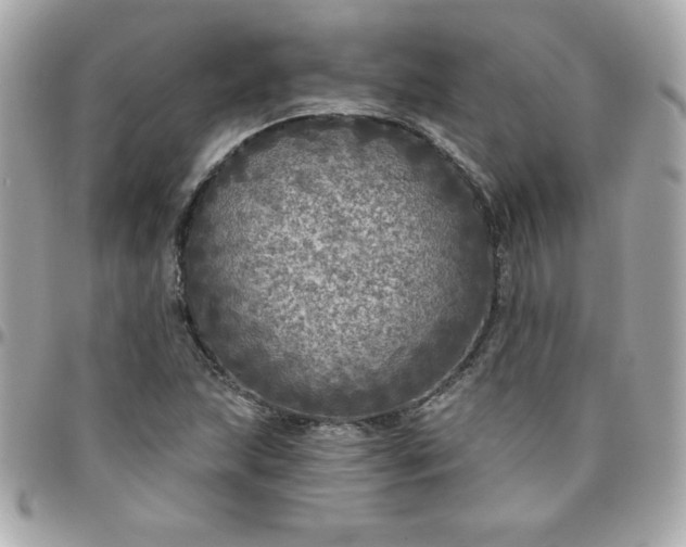 X0000096471215200802071849