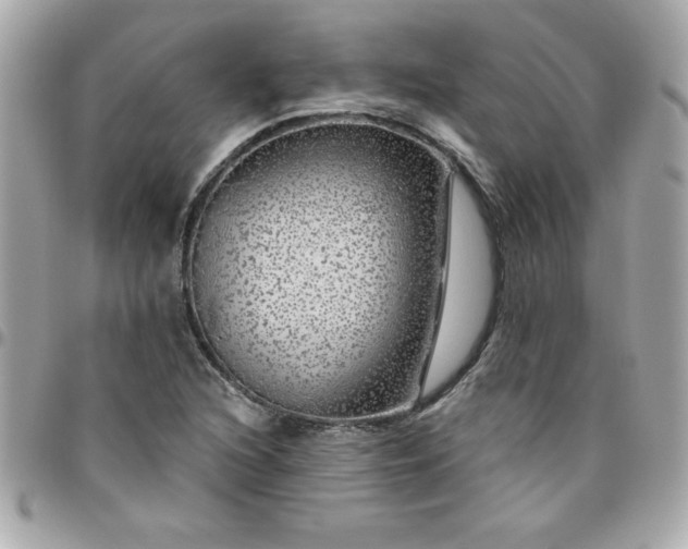 X0000096471216200802071849