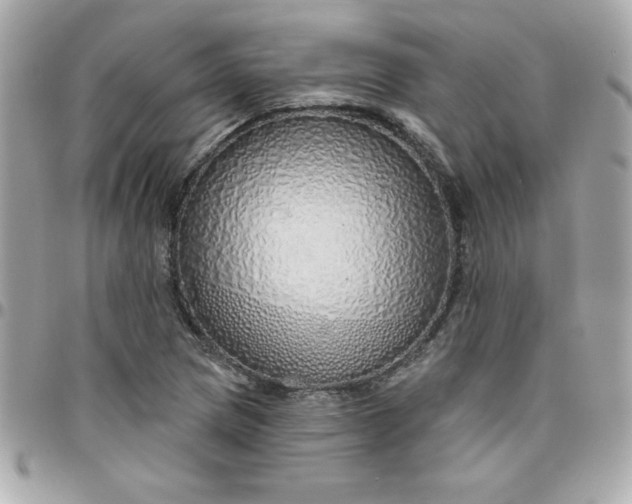 X0000096471217200802071849