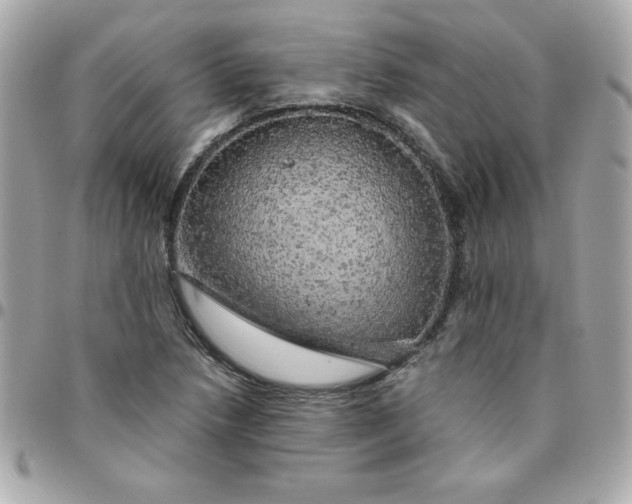 X0000096471218200802071849