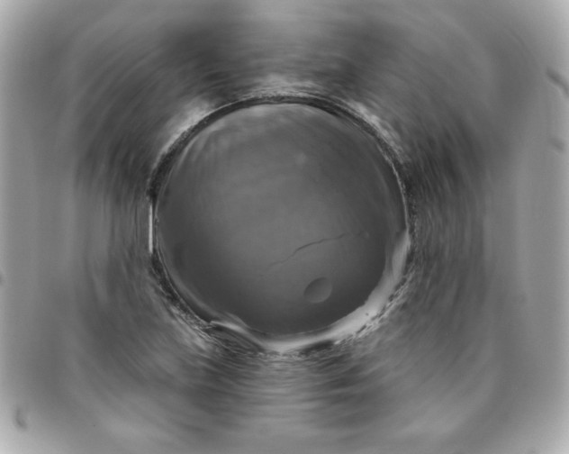 X0000096471219200802071849