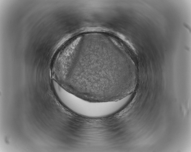 X0000096471221200802071849