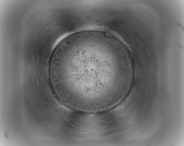 X0000096471222200802071849