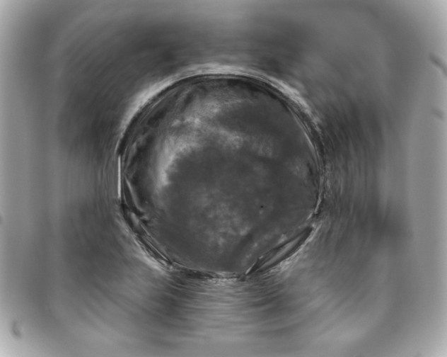 X0000096471223200802071849