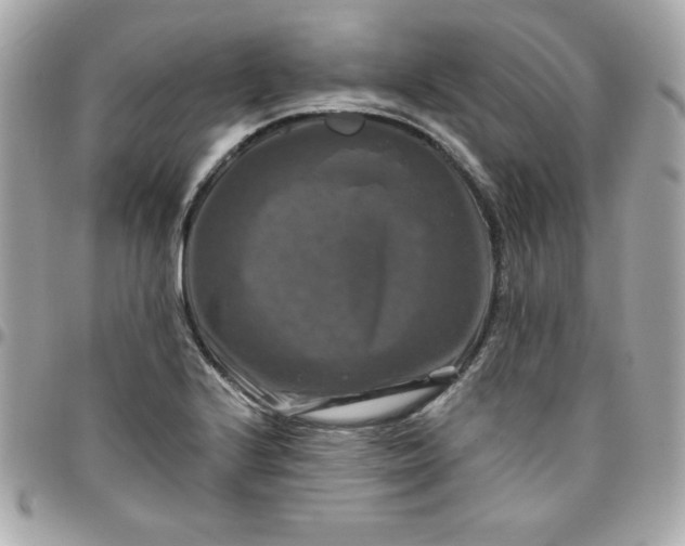 X0000096471224200802071849