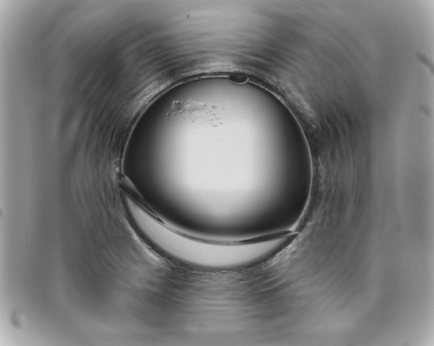 X0000096471225200802071849