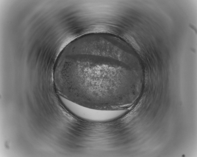 X0000096471226200802071849