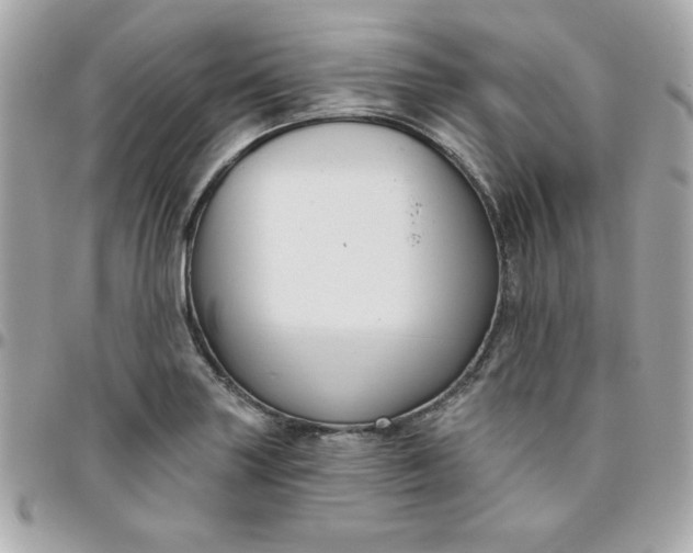 X0000096471227200802071849