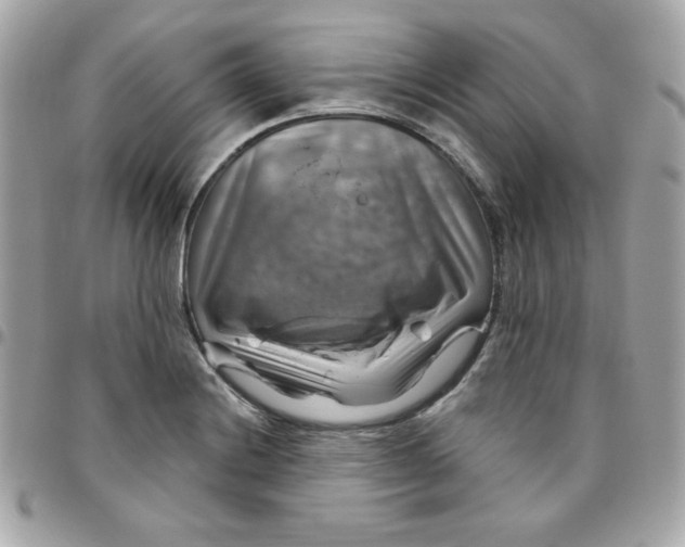 X0000096471228200802071849