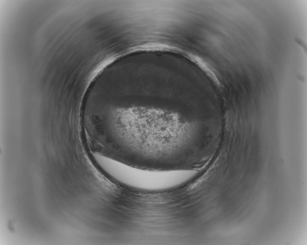 X0000096471229200802071849