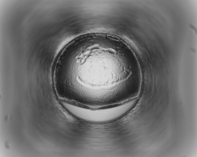 X0000096471230200802071849