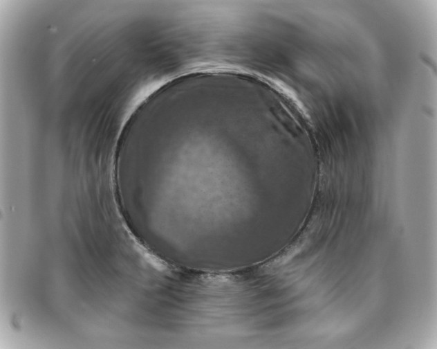 X0000096471231200802071849