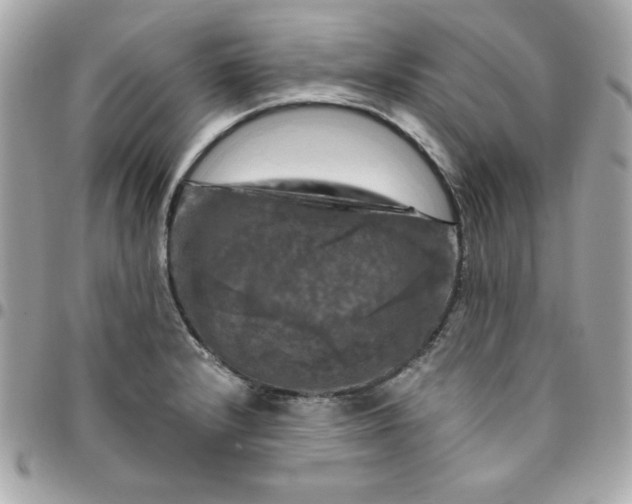 X0000096471232200802071849