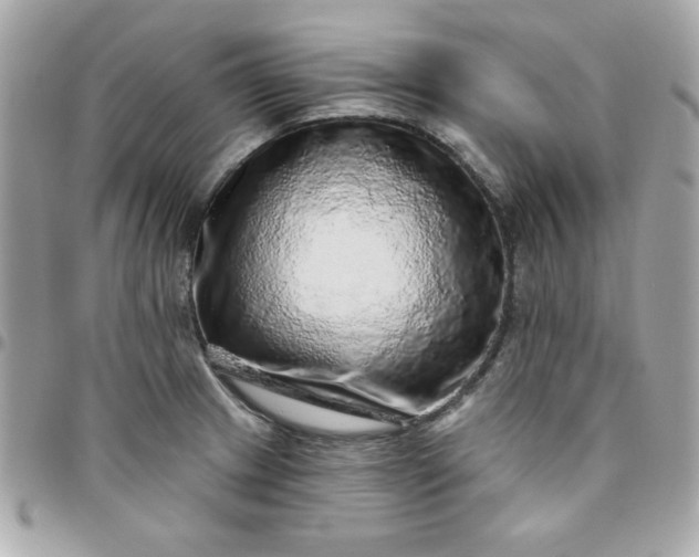 X0000096471233200802071849